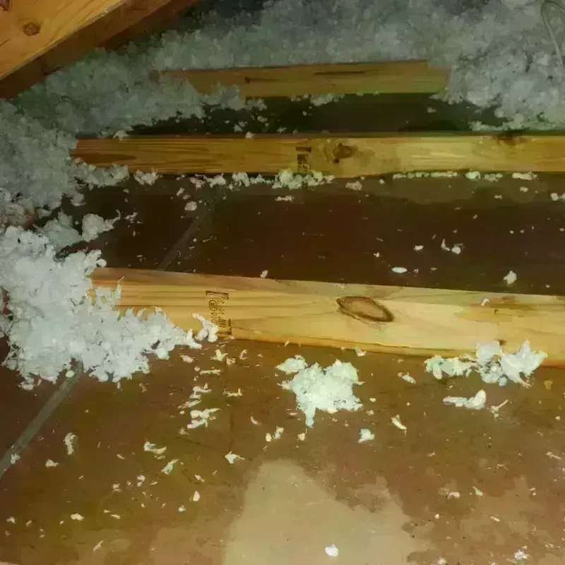 Attic Water Damage in Woodcrest, CA