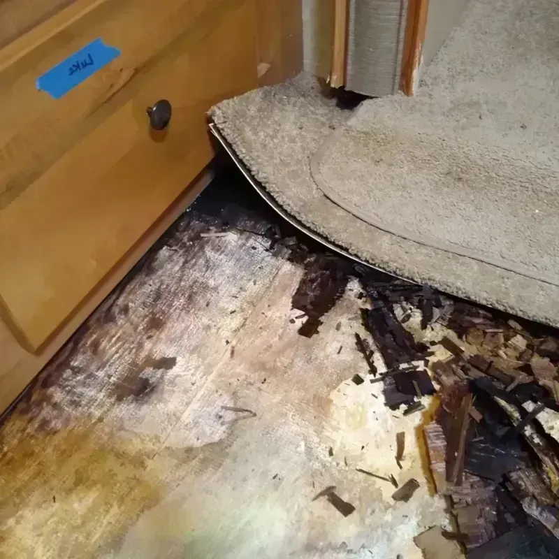 Wood Floor Water Damage in Woodcrest, CA